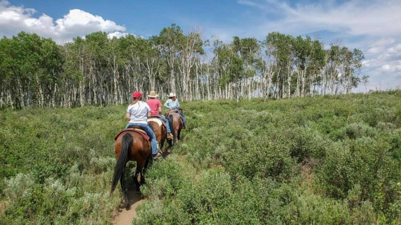 Western Lodge Steamboat Springs Dış mekan fotoğraf